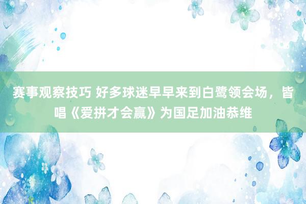 赛事观察技巧 好多球迷早早来到白鹭领会场，皆唱《爱拼才会赢》为国足加油恭维