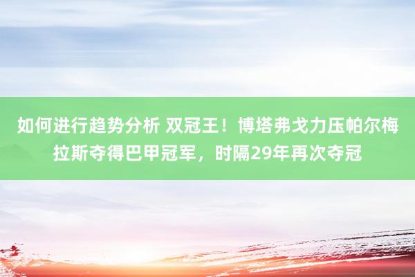 如何进行趋势分析 双冠王！博塔弗戈力压帕尔梅拉斯夺得巴甲冠军，时隔29年再次夺冠